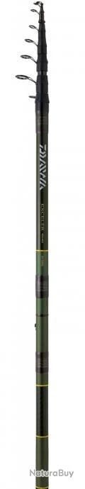 CANNE DAIWA EXCELER 5.50m TELEREGLABLE