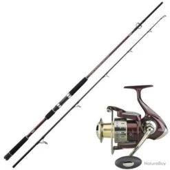 Ensemble Sert Exceed Bobcat + Exceed Bobcat 6504 Fd - 2.70 M / 100-300 G