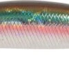 Leurre Duo Tide Minnow 90S OCEAN BAIT 2 Leurre Duo Tide Minnow 90S OCEAN BAIT -Pêche des carnassiers Magasin 00001 Leurre Duo Tide Minnow 90S OCEAN BAIT