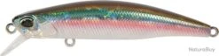 Leurre Duo Tide Minnow 90S OCEAN BAIT