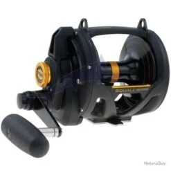 Penn Squall Lever Drag 2 Vitesses SQUALL 50VSW LD 2SP