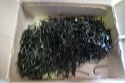 Hameçons 16 Canelle Par 1000 Bleu Renversé -Pêche des carnassiers Magasin 00003 Hamecons 16 canelle par 1000 bleu renverse