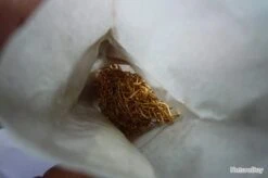 Hameçons 18 Canelle Par 1000 Doré Fin Renversé -Pêche des carnassiers Magasin 00003 Hamecons 18 canelle par 1000 dore fin renverse