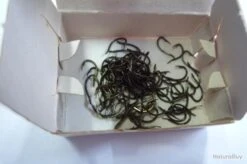 Hameçons 16 MUSTAD 530 Lot 500 Ham -Pêche des carnassiers Magasin 00003 Hamecons MUSTAD 530 lot 500 ham