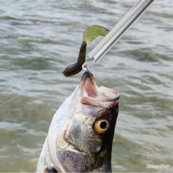 PROMOTION : PINCE À DÉGORGER + DRAGONE OFFERTE -Pêche des carnassiers Magasin 00006 PROMOTION PINCE A DEGORGER DRAGONE OFFERTE