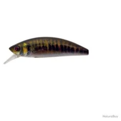 Leurre Coulant Sakura Phoxy Minnow Hw - 8.5 Cm / 13.2 G / Brown Vairon 16 Leurre Coulant Sakura Phoxy Minnow Hw - 8.5 Cm / 13.2 G / Brown Vairon -Pêche des carnassiers Magasin 00015 Leurre coulant Sakura Phoxy Minnow Hw 8.5 cm 13.2 g Brown Vairon