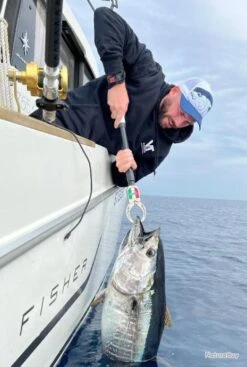 Casquette Thon The Bluefin Tuna 17 Casquette Thon The Bluefin Tuna -Pêche des carnassiers Magasin 00016 Casquette Thon The Bluefin Tuna