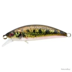 Leurre Coulant Sakura Phoxy Minnow Hw - 8.5 Cm / 13.2 G / Brown Vairon 18 Leurre Coulant Sakura Phoxy Minnow Hw - 8.5 Cm / 13.2 G / Brown Vairon -Pêche des carnassiers Magasin 00017 Leurre coulant Sakura Phoxy Minnow Hw 8.5 cm 13.2 g Brown Vairon