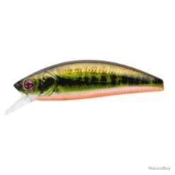Leurre Coulant Sakura Phoxy Minnow Hw - 8.5 Cm / 13.2 G / Brown Vairon 19 Leurre Coulant Sakura Phoxy Minnow Hw - 8.5 Cm / 13.2 G / Brown Vairon -Pêche des carnassiers Magasin 00018 Leurre coulant Sakura Phoxy Minnow Hw 8.5 cm 13.2 g Brown Vairon